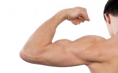 Soy and dairy protein blend may be beneficial for building muscle mass